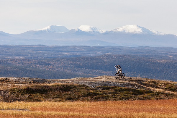 El otoño en el parque de Åre, Suecia. Foto: Niclas Vestefjell/imagebank.sweden.se