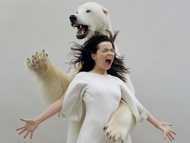 Björk (Mondino) - Hemisferio Boreal